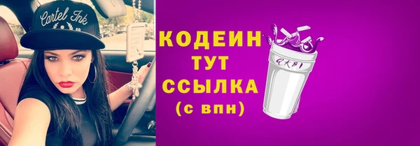 ешки Арсеньев